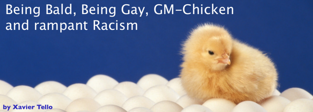 Bolivia's President declares that GM-poultry is the actual responsible of 